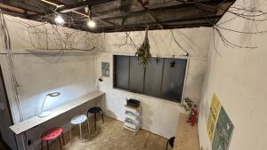 これから楽しく使えそうです｜Nさん[職業デザイナー]